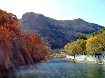 新澳门二四六天天开奖，仿生花